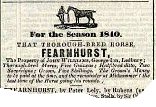Horse Advert