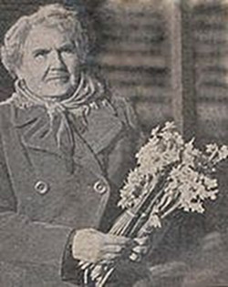 Hannah Brace